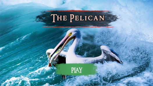 The Pelican安卓xapk123云盘下载
