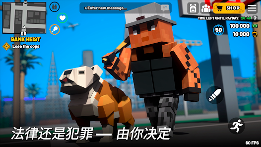 BLOCK CRIME安卓xapk123云盘下载