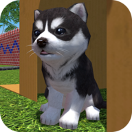 Cute Pocket Puppy 3D - Part 2安卓apk123云盘下载 Cute Pocket Puppy 3D - Part 2安卓apk123云盘下载