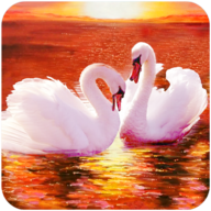 The Swan安卓xapk123云盘下载 The Swan安卓xapk123云盘下载