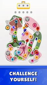 Screw Jam安卓xapk123云盘下载