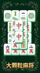 Sola Mahjong安卓版123云盘下载